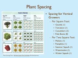Quickie Chart For Square Foot Plant Spacing Square Foot