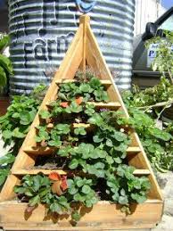 Make your own strawberry planter using simple materials like wood panel or decking planks and no special tools required. How To Build A Strawberry Planter Tips And Plans Gardening Channel