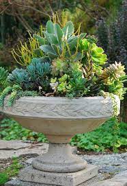 Garden Containers Succulents