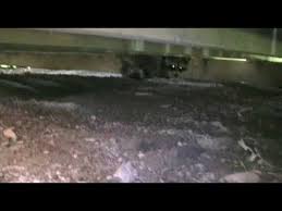 How to get rid of raccoons under the house or shed. Raccoons Under The Deck Im Such A Wimp Youtube