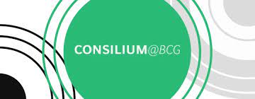 Consilium Bcg The Executive C Suite