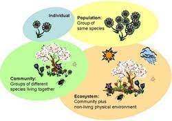 4 1 species communities and ecosystems
