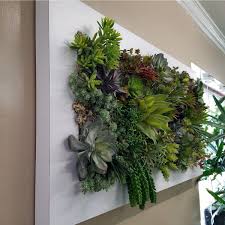 Succulent Wall Plant Jungle