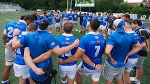 toronto arrows learning from the