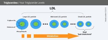 Triglyceride Levels High Low Normal Ranges