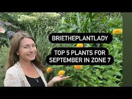 Top 5 Plants For September In Zone 7