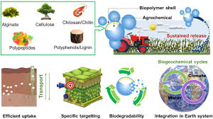 biopolymer based nanocarriers for