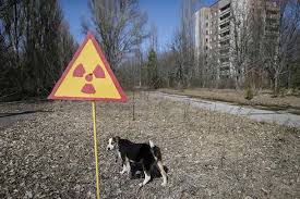 Tʃɛrˈnɔbɨl), ist eine stadt im norden der ukraine in der oblast kiew. Tschernobyl Heute Der Mensch Ging Und Die Tiere Kamen
