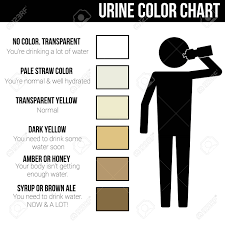 Urine Color Chart Icon Symbol Sign Pictogram Info Graphic