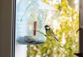 créer une mangeoire pour oiseaux avec