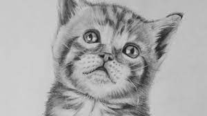 We have 59+ amazing background pictures carefully picked by our community. Drawing A Realistic Baby Kitten Cute Cat Youtube