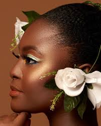 fib cosmetics the nigerian irish owned