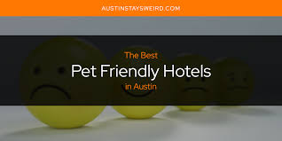the best pet friendly hotels in austin