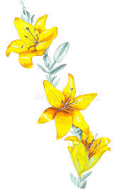 We did not find results for: Sketch Lily Yellow Flowers Stock Illustration Illustration Of Template 74399829