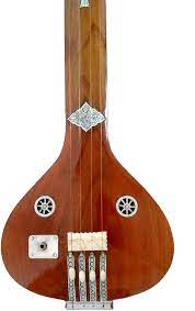 classic acoustic electric indian