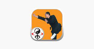 shaolin kung fu fundamental on the app