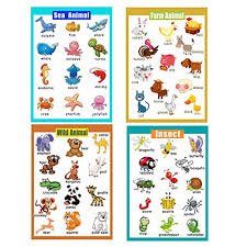 4 Pieces Laminated Educational Preschool Posters For