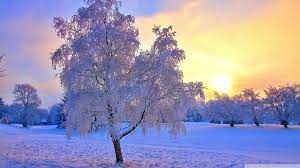 Colorful Winter Wallpapers - Top Free ...