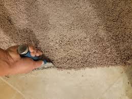 prevent carpet damage caused by pets