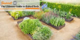 Ultimate Guide To Raised Beds