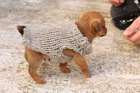 Puppy Sweater Knitting Pattern Xs