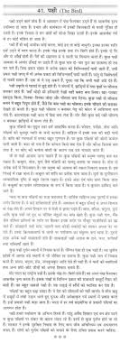 essay on dom fighters of in hindi language grade  inspirational person essay