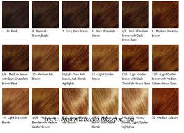 hair color chart honey brown hair