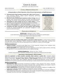 Clever Design Professional Resume Writing   Online Services    