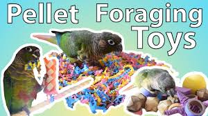 4 pellet foraging toys diy you