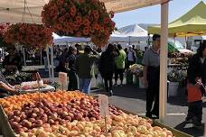 Daly City Farmers' Market At Serramonte Center