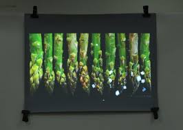 dark gray rear projection screen film