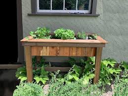 Why Raised Beds Are Best Deep Roots