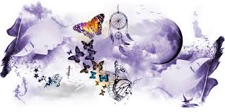 Dreaming of a bookshelf means you are in the process of building a foundation in yourself and career. Butterfly Dream Interpretation Butterfly Dream Meanings