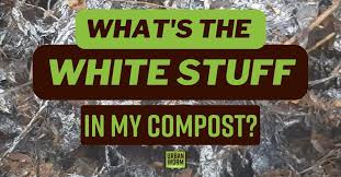 the white stuff in your hot compost