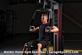 weider home gym exercises charts