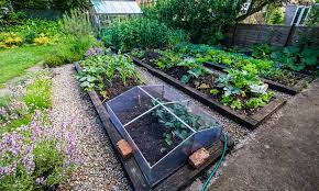 Raised Bed Greenhouse Gardens Tips