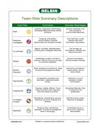 Belbin Team Role Summary Descriptions Action Oriented Team