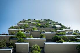 vertical gardening and its impact