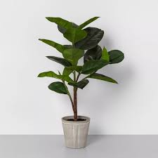6 ft artificial tree, 72 in fake tree, faux tree for home decor, office, lounge, patio, w/t green leaves and realistic trunk in pots. 26 Faux Rubber Tree Potted Plant Hearth Hand With Magnolia Target Faux Rubber Tree Hanging Plants Indoor Fig Plant