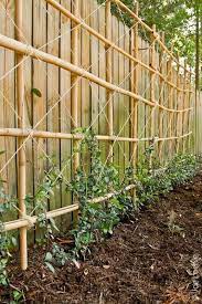garden trellis bamboo trellis
