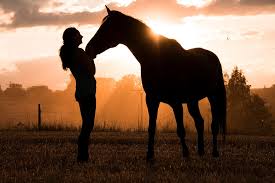 5 Things to Know about Dating a Horse Woman - Savvy Horsewoman