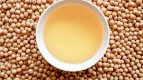 what-does-soybean-oil-do-to-your-body