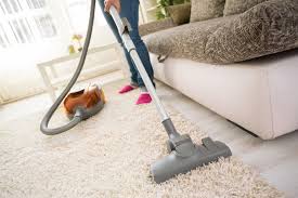 top 10 best carpet cleaners evergreen