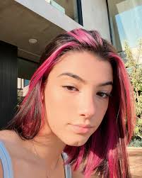 As expected, d'amelio posted a video showing off her pink hair to tiktok and it quickly garnered almost three million likes. Charli D Amelio Hi Facebook