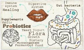 Resultado de imagen para dibujos de microbiota intestino cerebro