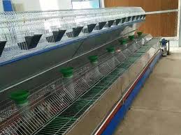 Commercial Rabbit Cages For Rabbit Farming
