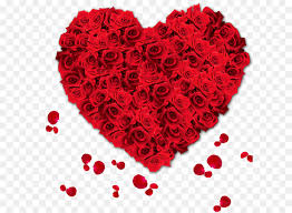 flower rose love flowers cleanpng