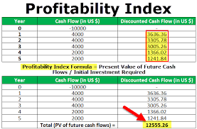 Profitability Index Formula Example How To Calculate