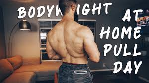 bodyweight back biceps workout at