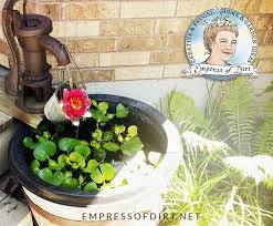 How To Make A Small Pond For Your Patio